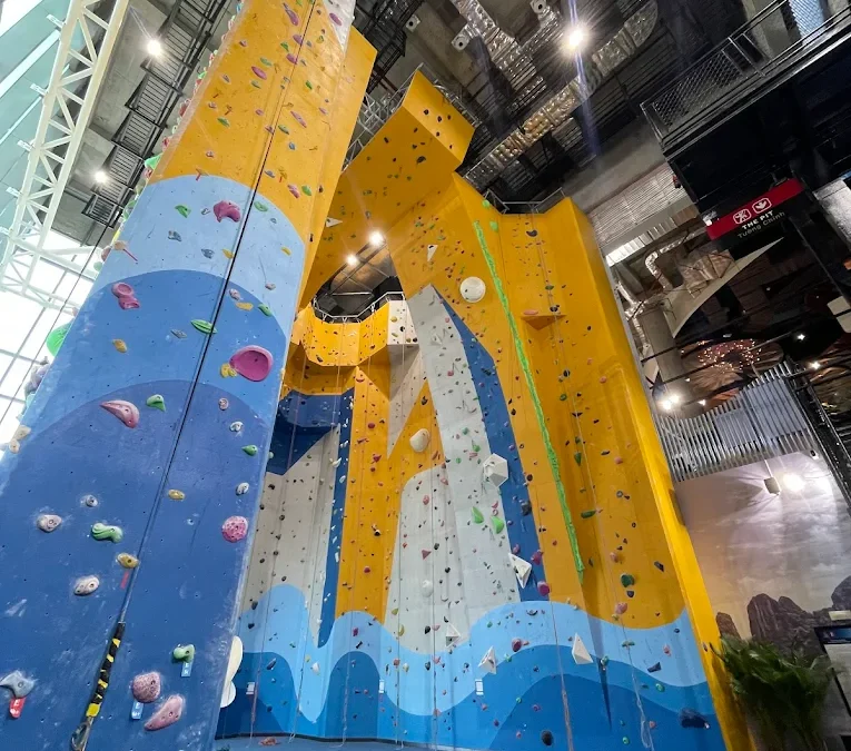 Giới Thiệu Các Phòng Leo Núi Ở HỒ CHÍ MINH